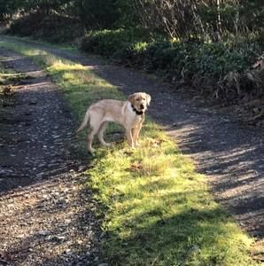 Meet your Posher, Jordyn